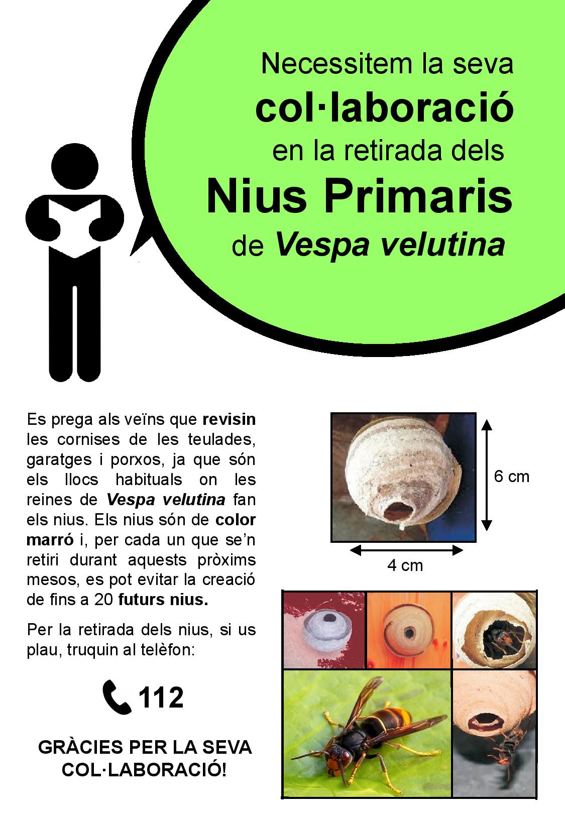 Poster informatiu vespa velutinasense logo-page-001